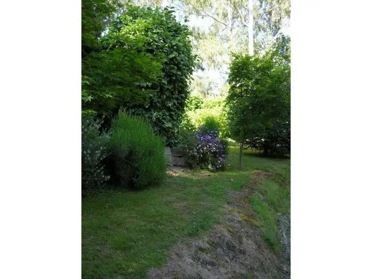 Seventh view of Homely house listing, 29 Rosella Street, Sawmill Settlement VIC 3723