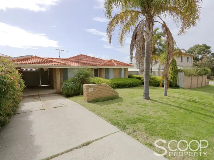 Second view of Homely house listing, 17 Bramston Street, Spearwood WA 6163