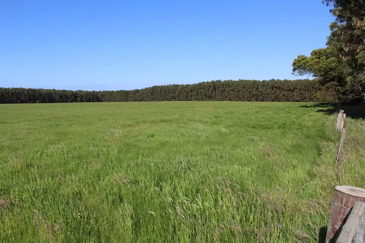 Fourth view of Homely rural property listing, Friends Road, Myamyn VIC 3304