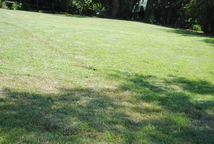 Second view of Homely land listing, LOT L458/51 Long Road, Tamborine Mountain QLD 4272