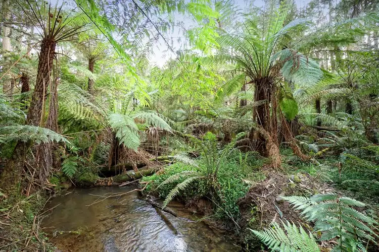 Fifth view of Homely land listing, Lot 1, 390a Old Emerald Road, Monbulk VIC 3793