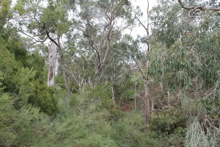 Sixth view of Homely rural property listing, 1635 Princes Highway, Pirron Yallock VIC 3249