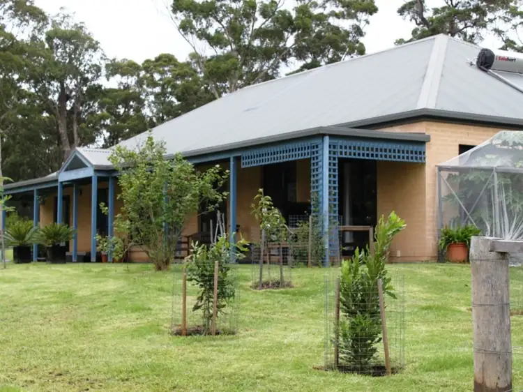 40 Willinga Road, Bawley Point NSW 2539