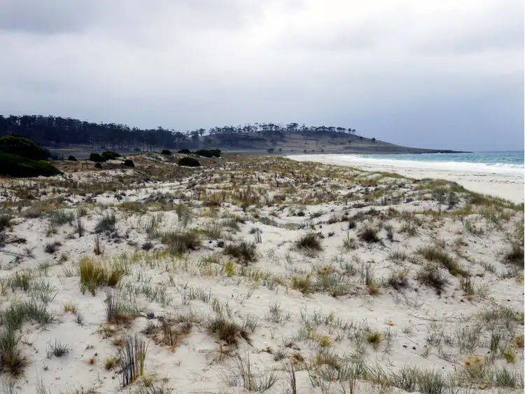 Fifth view of Homely rural property listing, Tasman Highway, Little Swanport TAS 7190