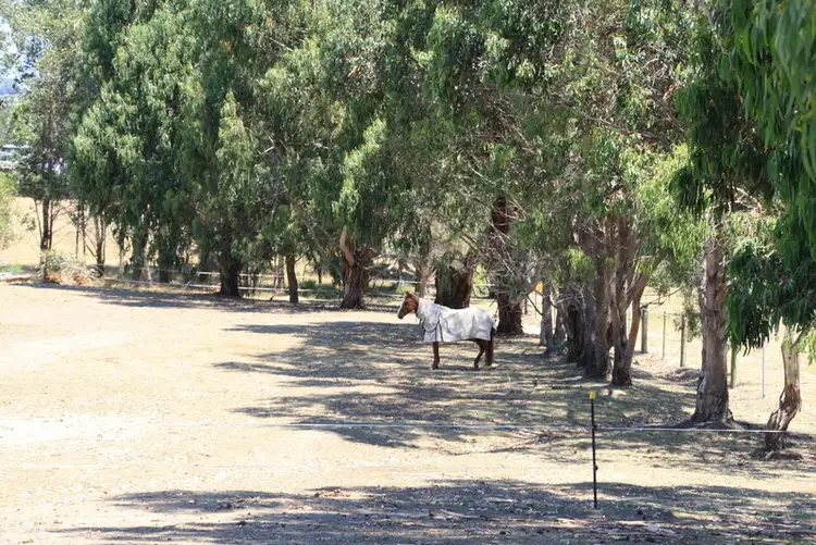 Third view of Homely rural property listing, 5 Karson Court, Acacia Hills TAS 7306