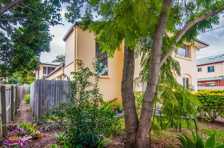 3/105 Flower Street, Northgate QLD 4013