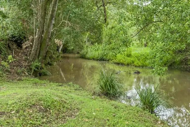 Third view of Homely rural property listing, 81 Doon Doon Road, Kunghur NSW 2484