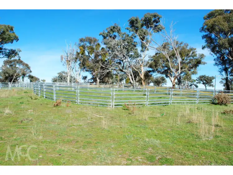 Sixth view of Homely rural property listing, 1370 Mid Western Highway, Evans Plains NSW 2795
