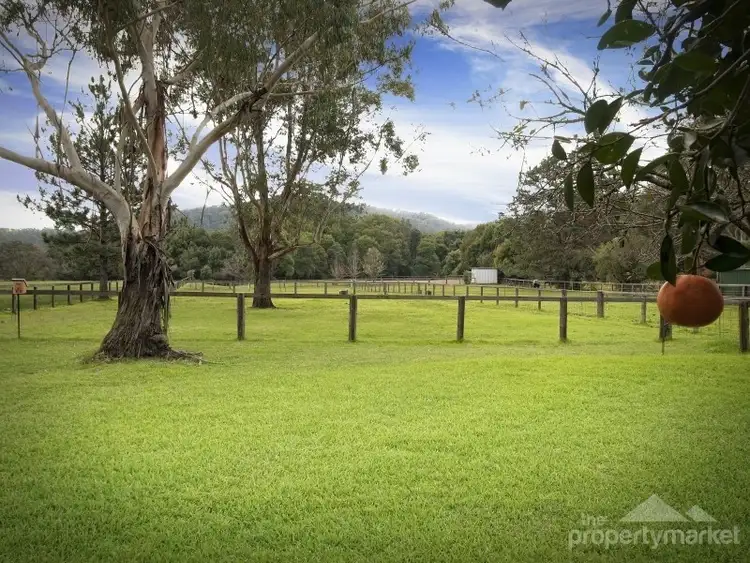 Third view of Homely house listing, 1571 Yarramalong Road, Yarramalong NSW 2259
