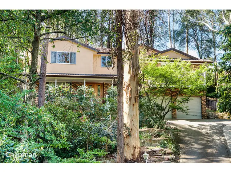 Main view of Homely house listing, 10B Paterson Road, Springwood NSW 2777