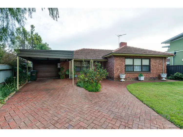 Main view of Homely house listing, 7 Buik Crescent, Marden SA 5070