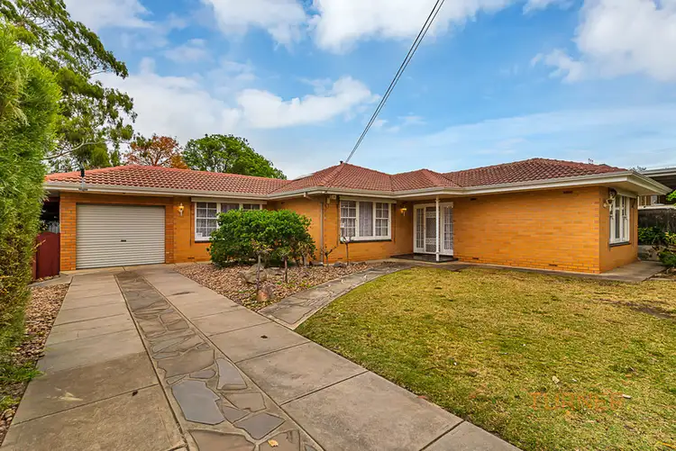 16 Linton Street, Banksia Park SA 5091