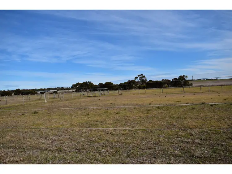 Sixth view of Homely rural property listing, 534 Reedy Creek Road, Murray Bridge SA 5253