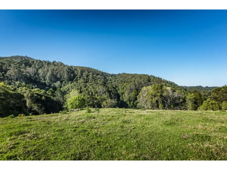 Fifth view of Homely rural property listing, 1691 Coramba Road, Dorrigo NSW 2453