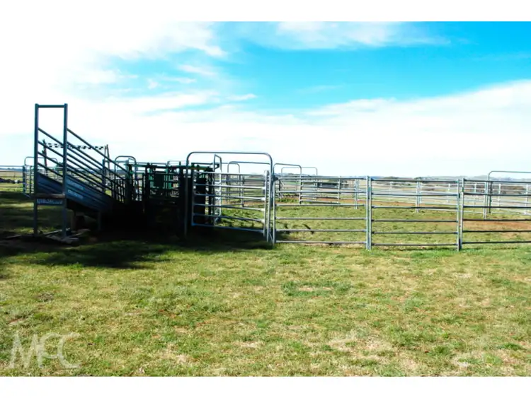 Second view of Homely rural property listing, 90 Tallwood Road, Millthorpe NSW 2798
