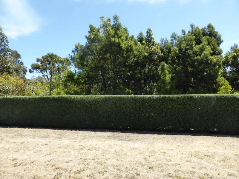 Main view of Homely house listing, 115 North Nelson Road, Nelson VIC 3292