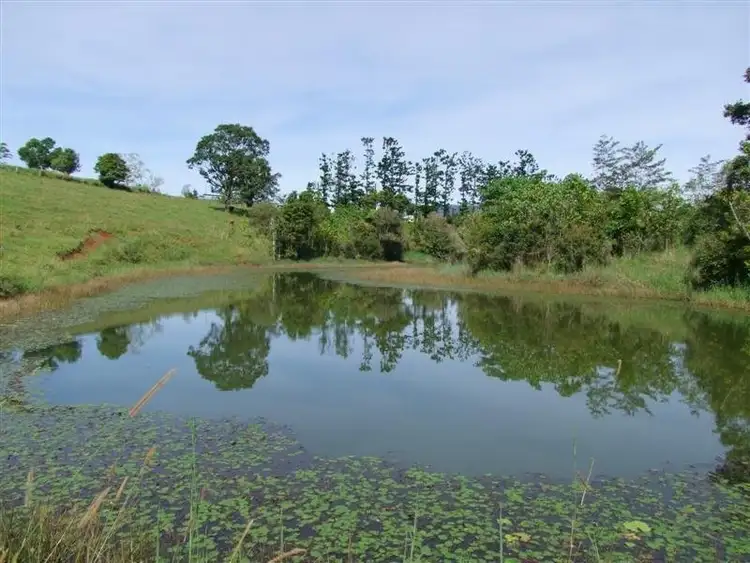 Second view of Homely rural property listing, F700 Lot 2 Mullins Road, Millaa Millaa QLD 4886