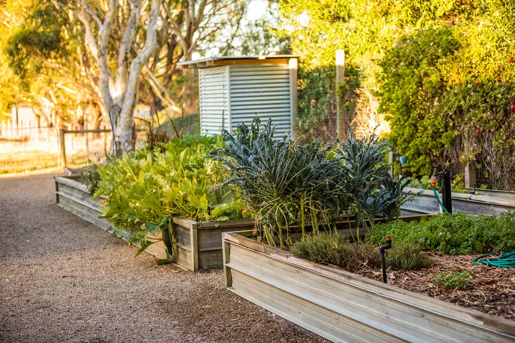 Sixth view of Homely rural property listing, 52 Sandy Point Road, Somers VIC 3927
