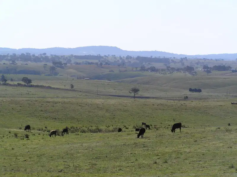 Main view of Homely rural property listing, 3 Ilford Hall Road, Mudgee NSW 2850