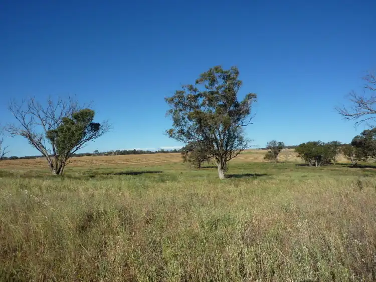 Fifth view of Homely land listing, LOT 5 Whiteleys Road, Molong NSW 2866