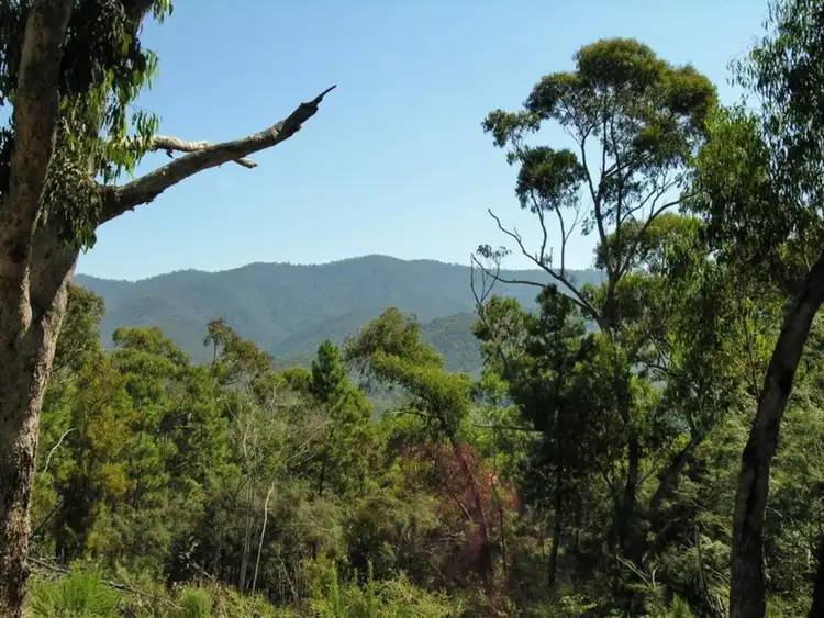 Main view of Homely land listing, LOT 10, 59 Rifle Range Road, Jamieson VIC 3723