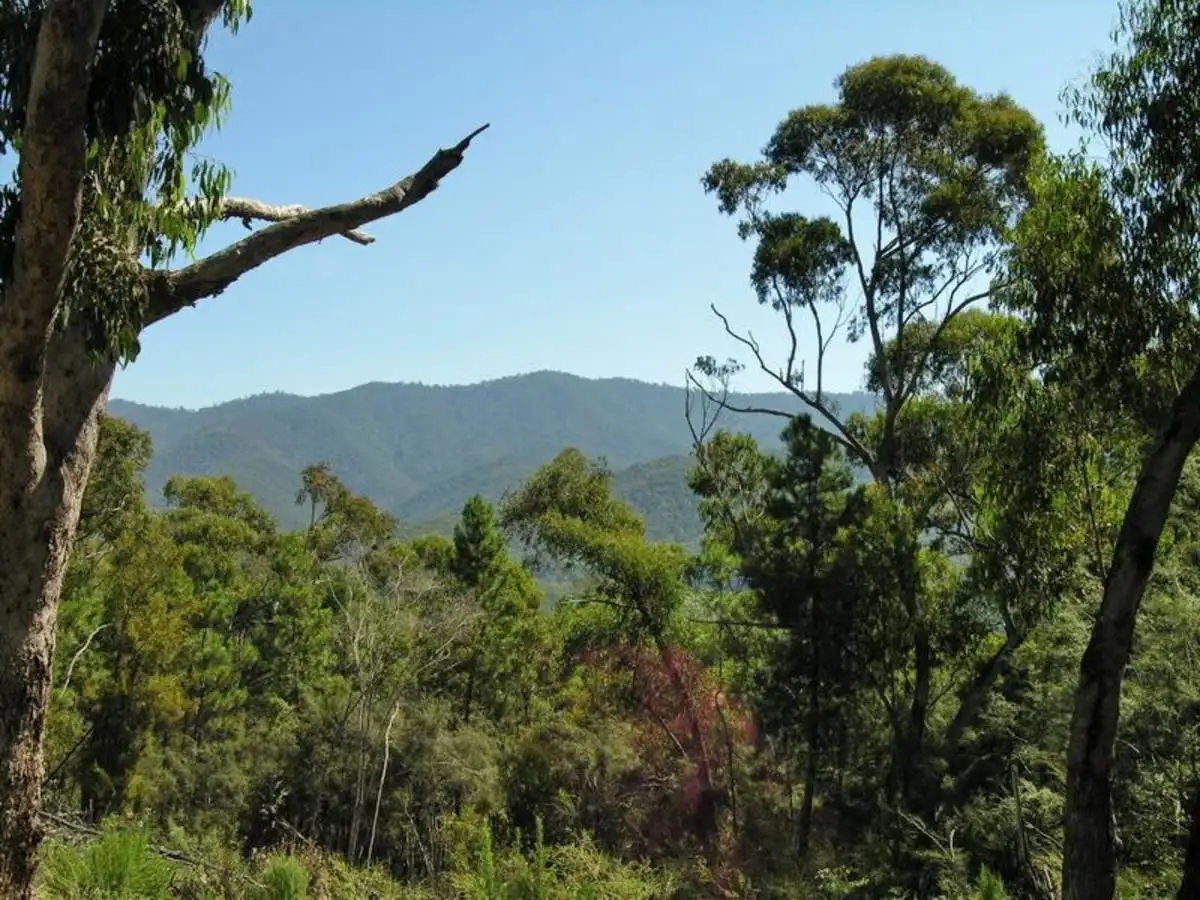 Main view of Homely land listing, LOT 10, 59 Rifle Range Road, Jamieson VIC 3723