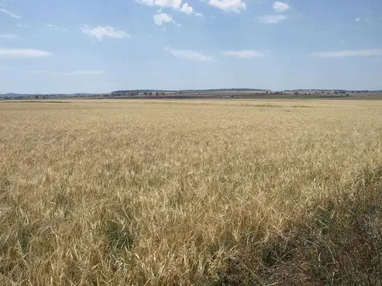 Sixth view of Homely rural property listing, Lot 171 Upper Spring Creek Road, Spring Creek QLD 4361