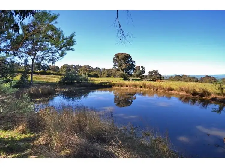 Seventh view of Homely land listing, 1074 Old Tolmie Road, Mansfield VIC 3722