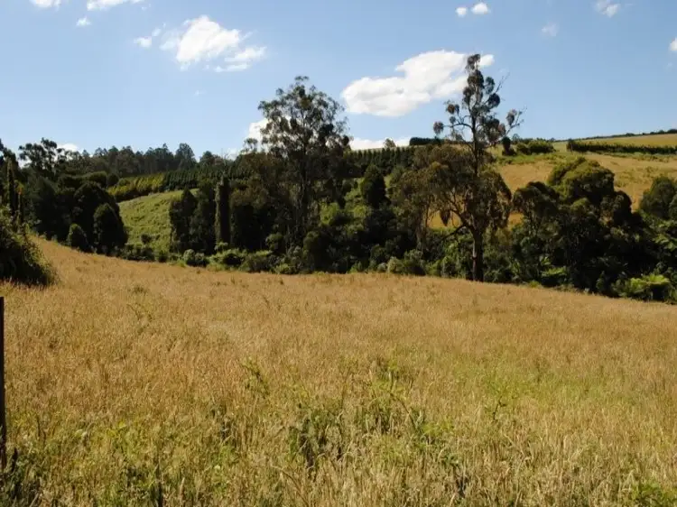 Sixth view of Homely land listing, 203 Belgrave Gembrook Road, Menzies Creek VIC 3159