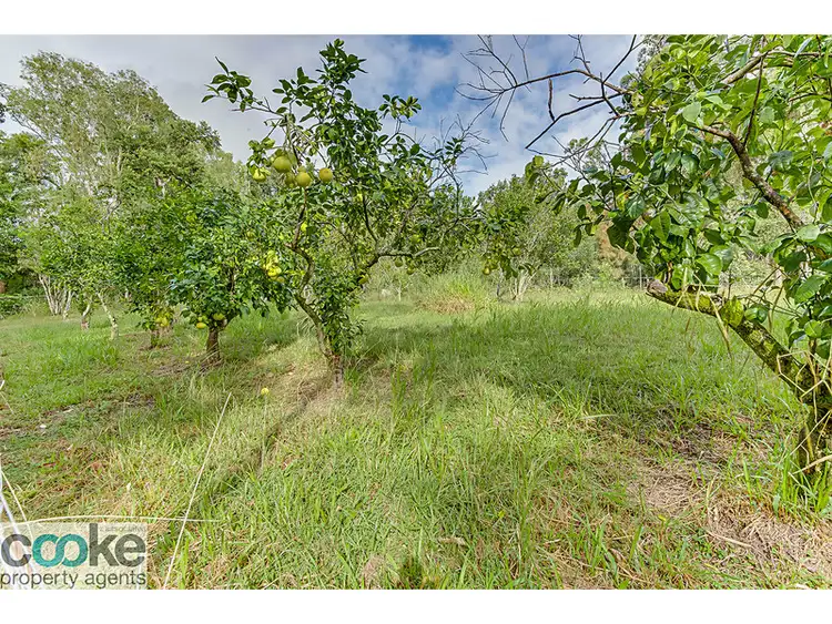 Sixth view of Homely rural property listing, 122 Arnolds Road, Byfield QLD 4703