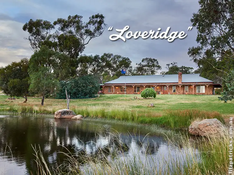 6361 Holbrook Road, Gelston Park NSW 2650