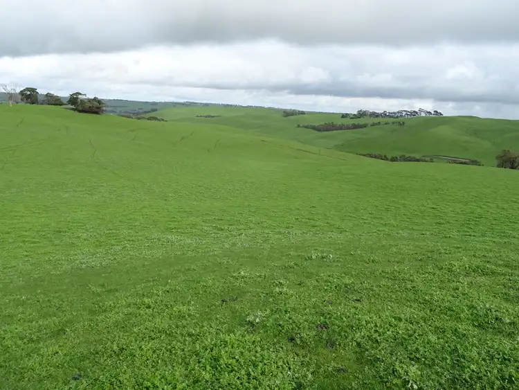 Third view of Homely rural property listing, McInnes Road, Coleraine VIC 3315
