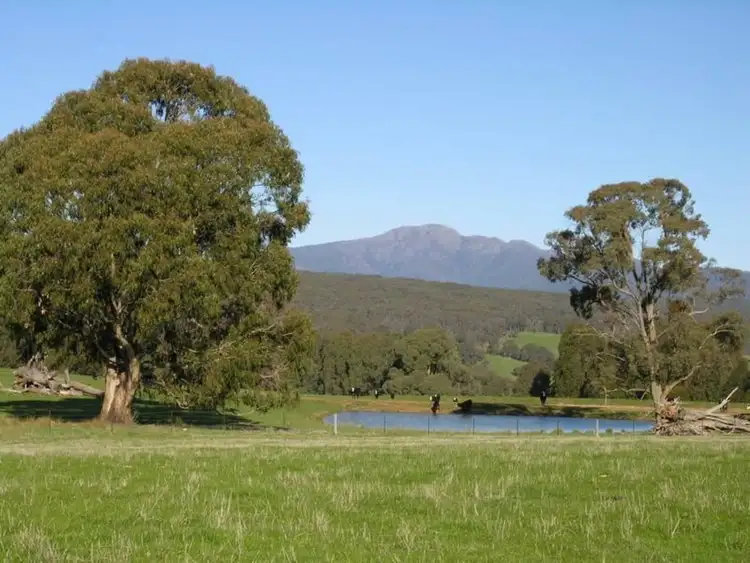 Third view of Homely rural property listing, 200 Greenways Lane, Merrijig VIC 3723