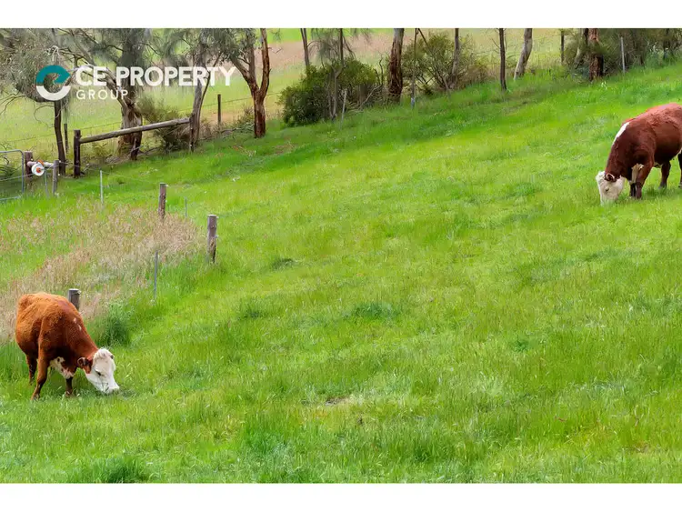 Fifth view of Homely house listing, 86 Lee Road, Lobethal SA 5241