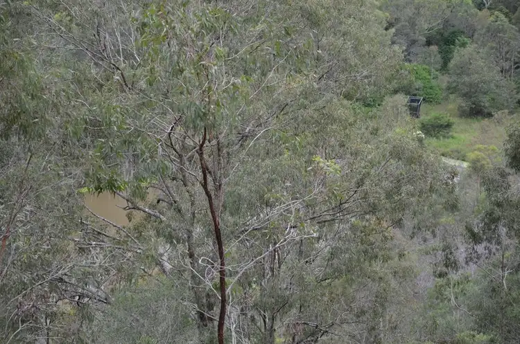Fourth view of Homely land listing, 135 Campbell Drive, Kooralbyn QLD 4285