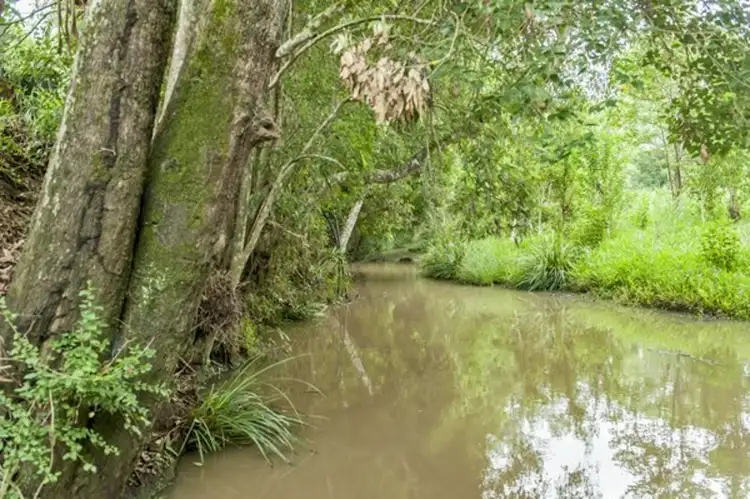 Sixth view of Homely rural property listing, 81 Doon Doon Road, Kunghur NSW 2484