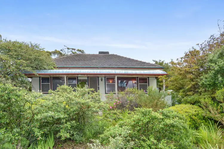 Fourth view of Homely house listing, 17 Penzance Avenue, Christies Beach SA 5165