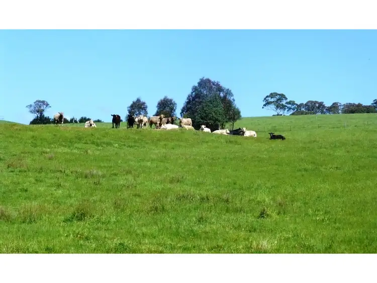 Fourth view of Homely rural property listing, 102 Favell Road, Orange NSW 2800