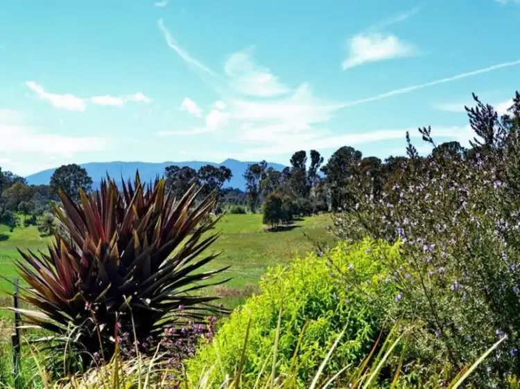 Fifth view of Homely rural property listing, LOT 4, 43 Danshill Lane, Mansfield VIC 3722