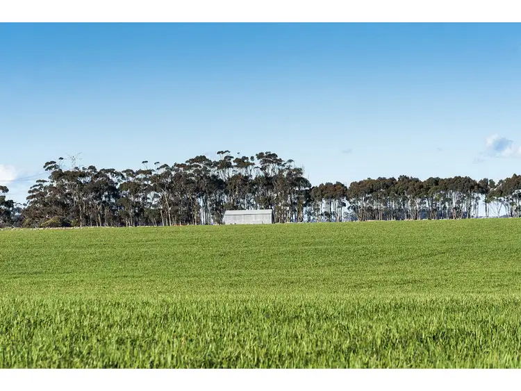 Fifth view of Homely rural property listing, 1101 Gnarpurt Road, Lismore VIC 3324