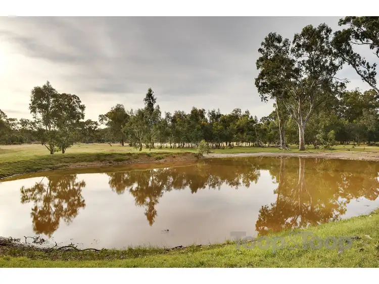 Sixth view of Homely land listing, LOT 1 Gum View Road, Meadows SA 5201