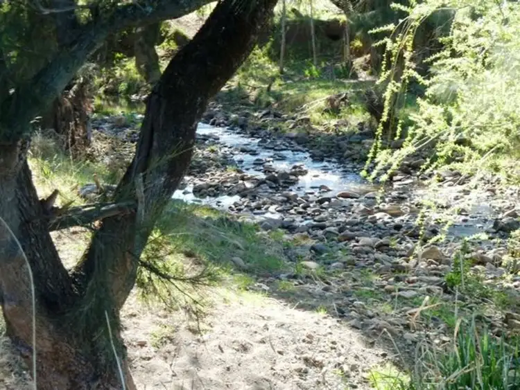 Seventh view of Homely rural property listing, - Bowan Park Road, Orange NSW 2800