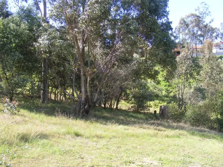 Seventh view of Homely land listing, 8 Crown Close, Rutherford NSW 2320