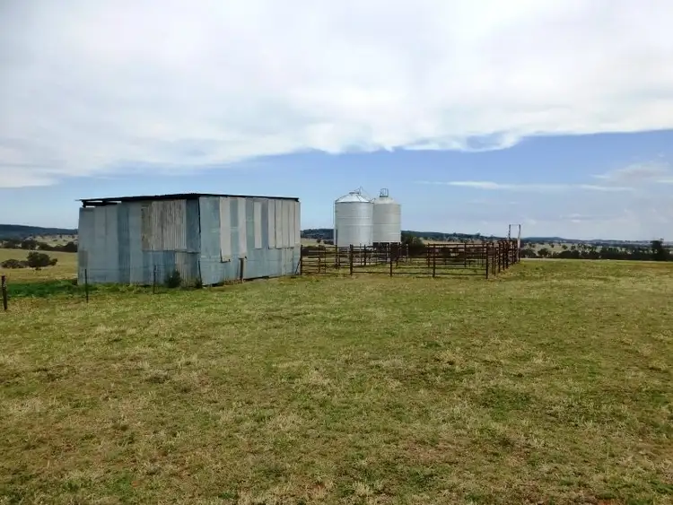 Sixth view of Homely rural property listing, 304 Norah Creek Road, Molong NSW 2866