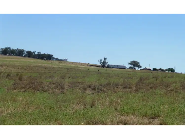 Fifth view of Homely rural property listing, 304 Norah Creek Road, Molong NSW 2866