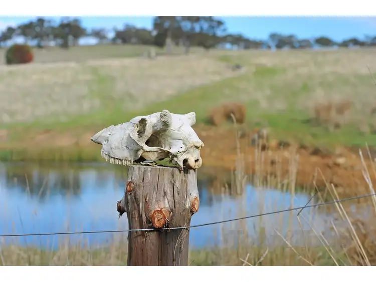 Seventh view of Homely land listing, LOT 47 Archer Hill Road, Bugle Ranges SA 5251
