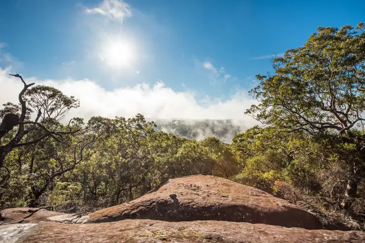 Seventh view of Homely rural property listing, 59 Jones Road, Calga NSW 2250