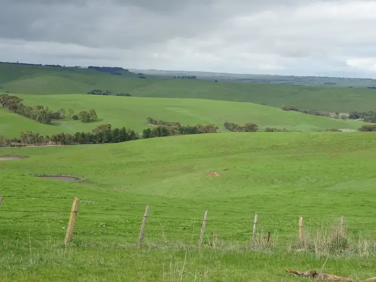 Seventh view of Homely rural property listing, McInnes Road, Coleraine VIC 3315