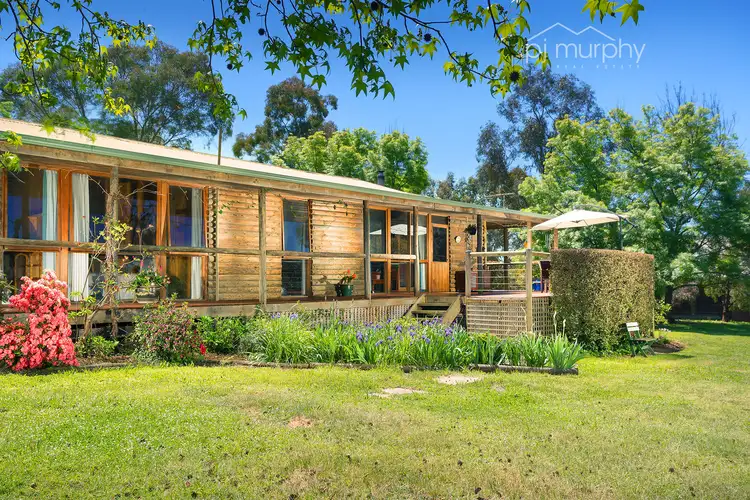 Second view of Homely rural property listing, 278 Sanatorium Road, Allans Flat VIC 3691