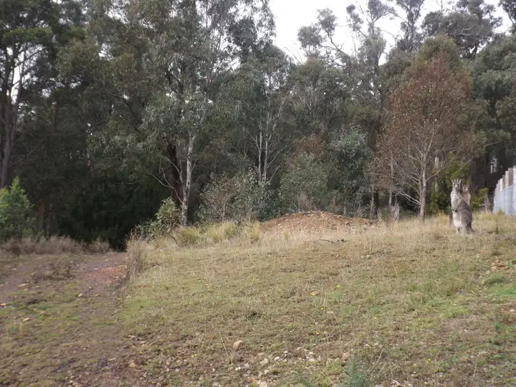 Third view of Homely land listing, LOT 41 Bournda Park Way, Wallagoot NSW 2550
